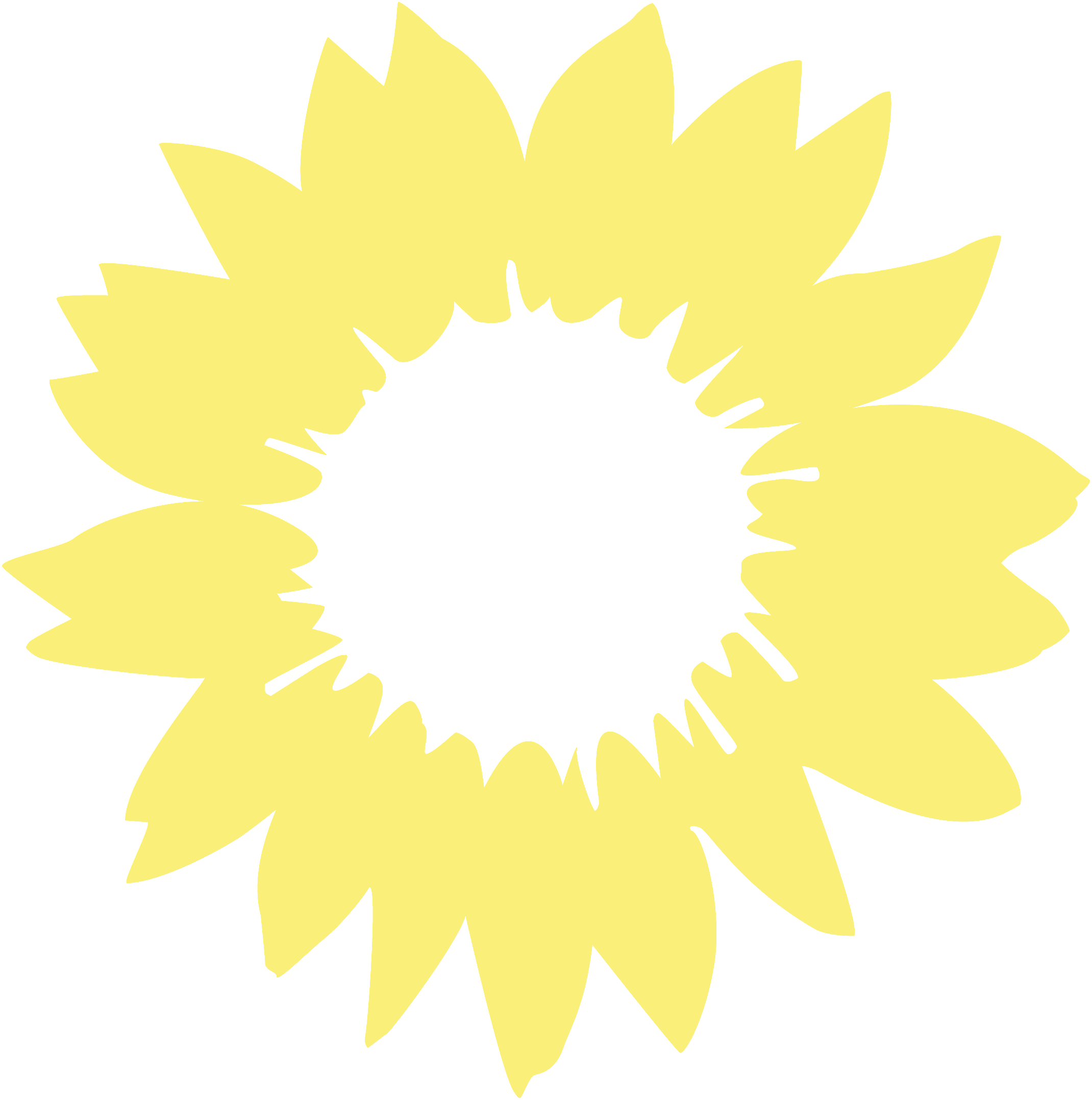 Sonnenblume